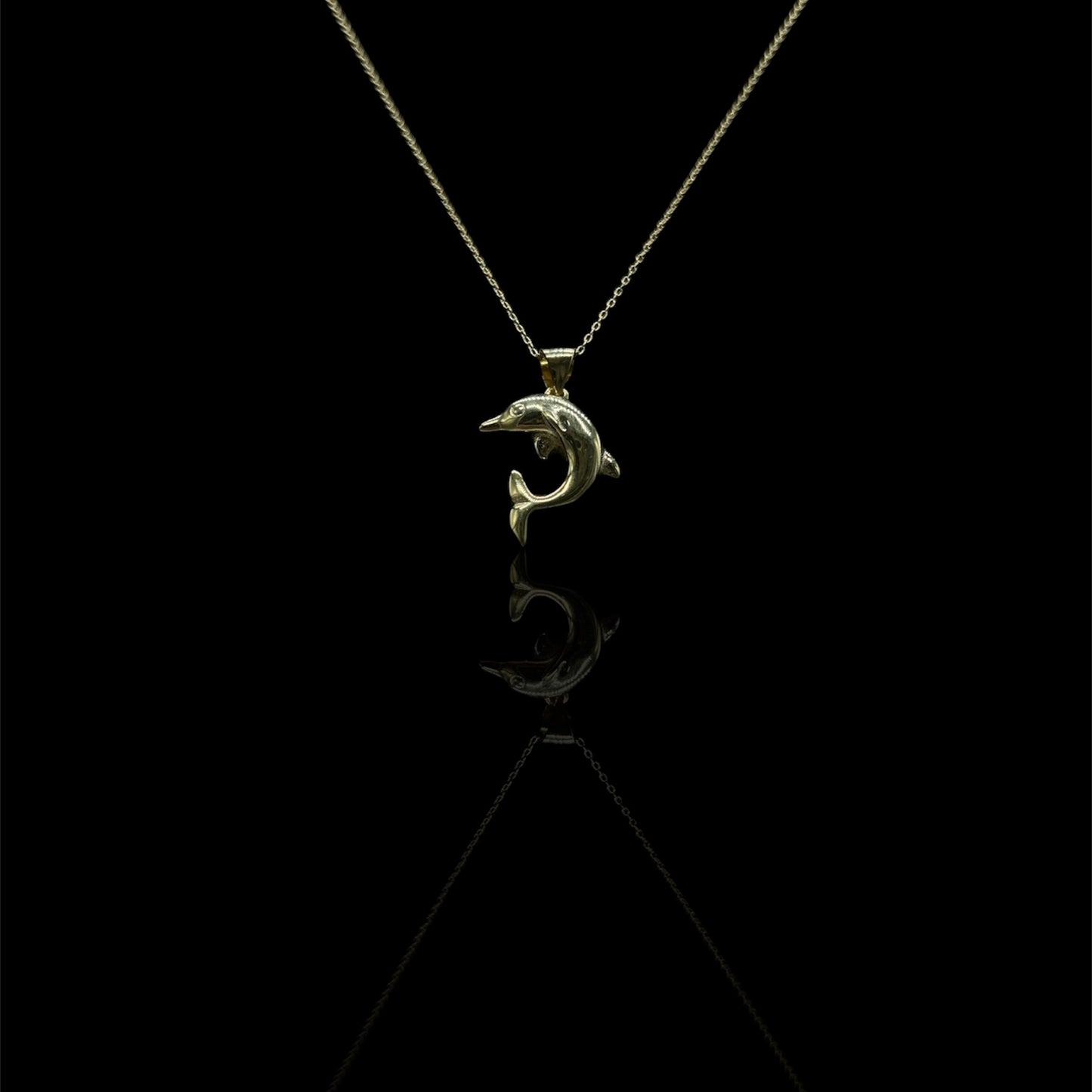 Plain Dolphin W/ Chain