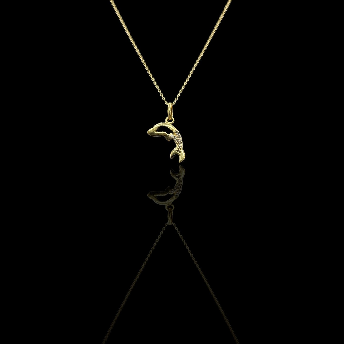 Plain Dolphin W/ Chain