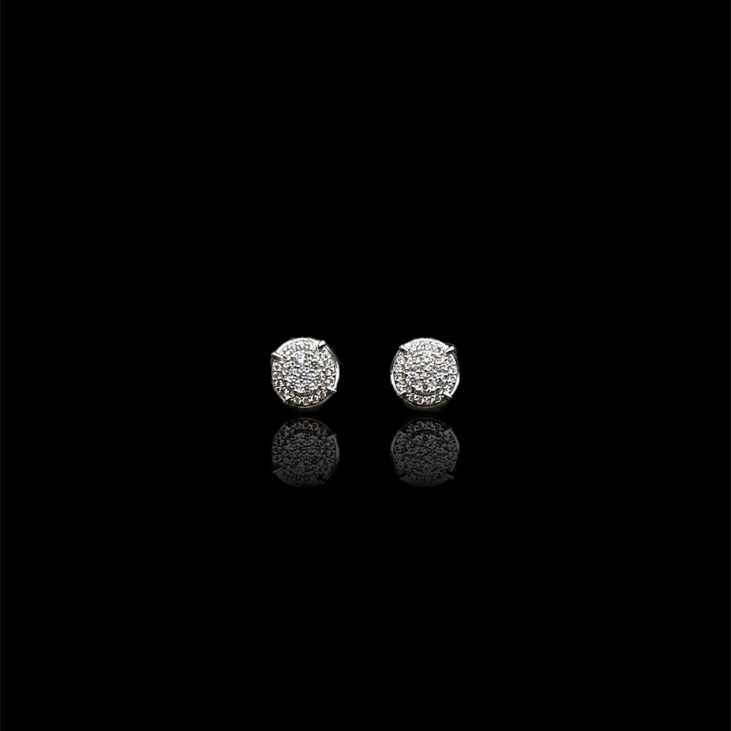 Earring Model #013