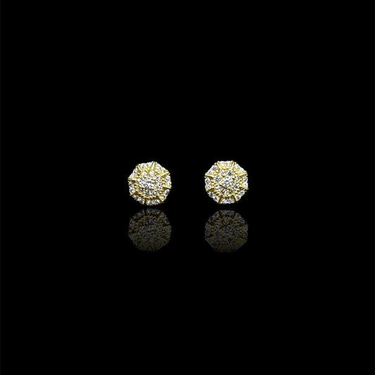 Earring Model #015