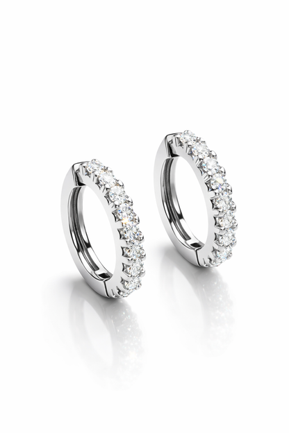 Earrings Hoops