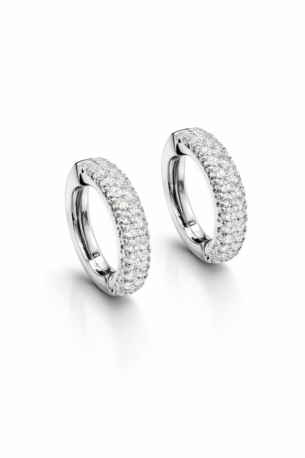 Earrings Hoops (Double Row)