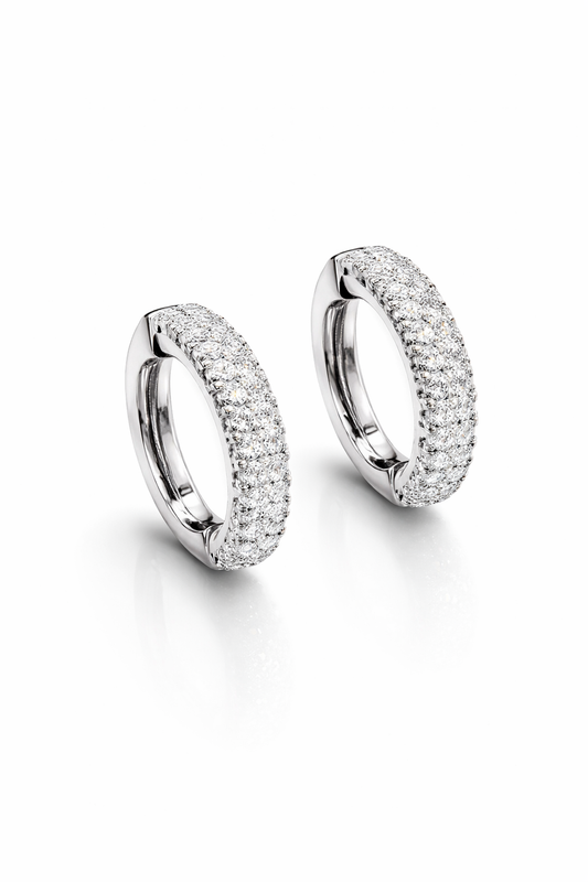 Earrings Hoops (Double Row)