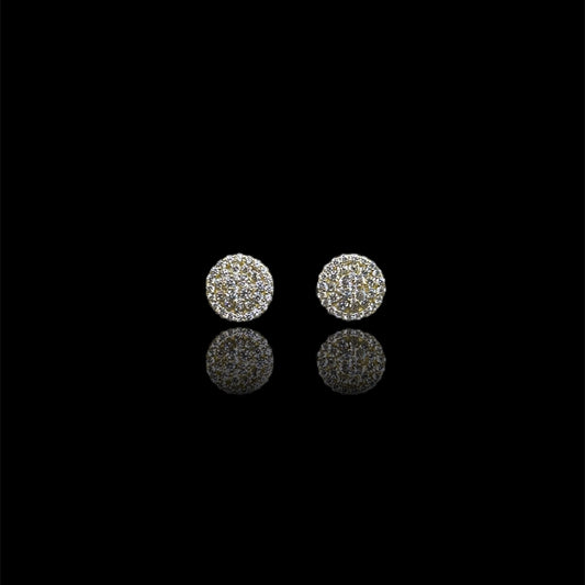 Earring Model #008