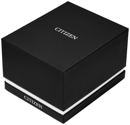 Citizen NJ0232-53X — TSUYOSA Shore - view 4